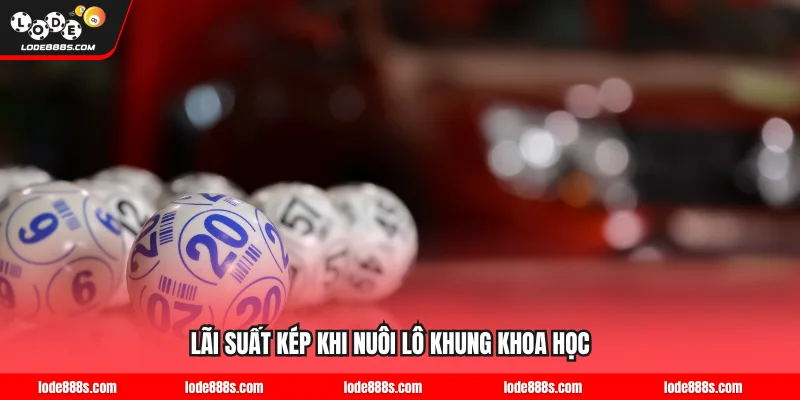 Lãi suất kép khi nuôi lô khung khoa học