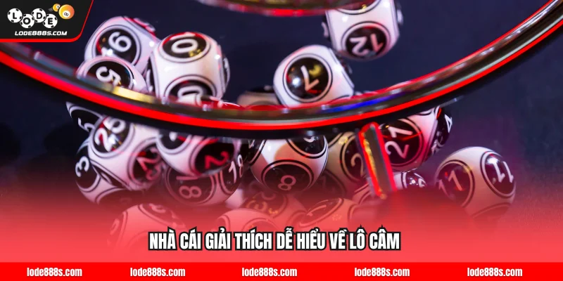 Nhà cái giải thích dễ hiểu về lô câm
